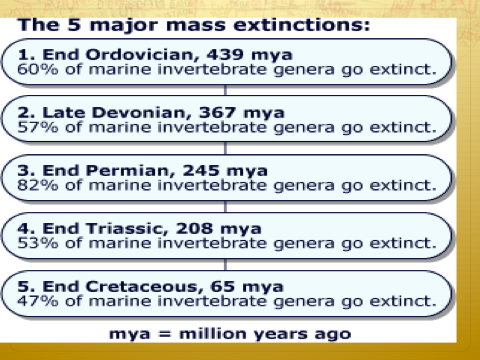 5 Extinctions